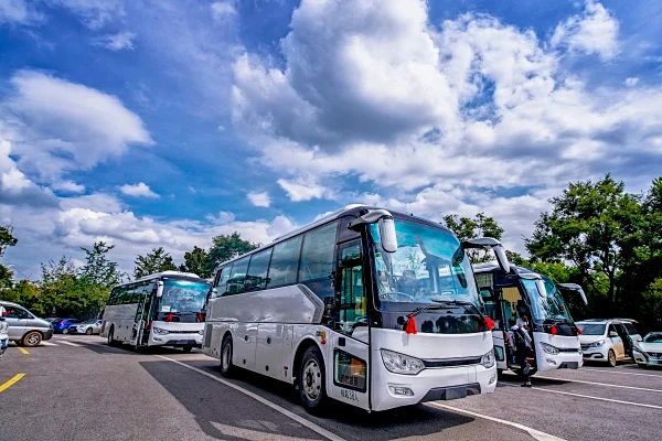 Multiple measures to address the chaos in the used bus market: Information transparency and upgraded supervision are key.