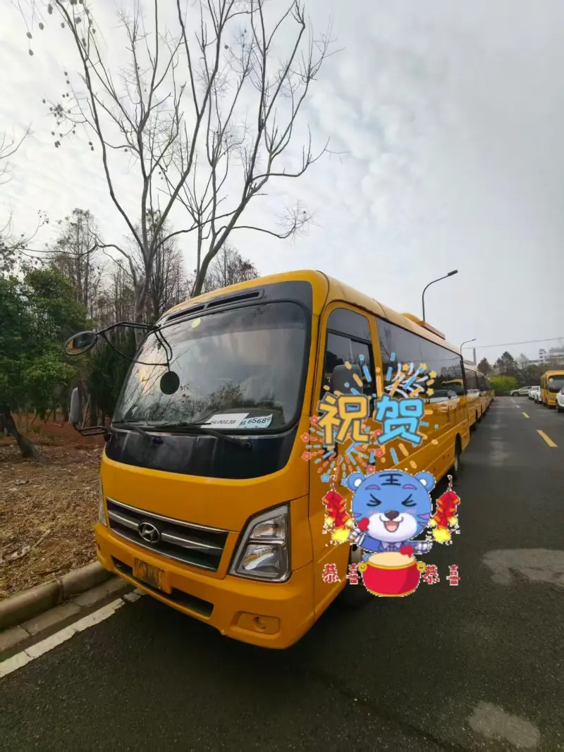 China Honglong Used Passenger Bus Business Advances Steadily in March; Multiple Vehicles Delivered to Global Clients